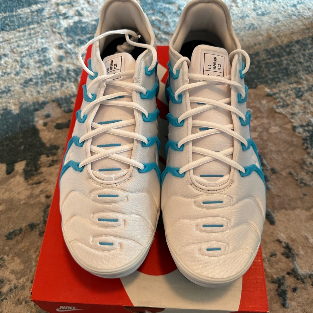 Men’s Nike air vapor max plus shoes
